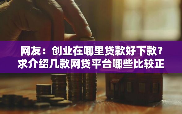 网友：创业在哪里贷款好下款？求介绍几款网贷平台哪些比较正规