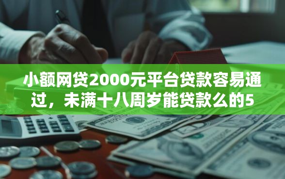 小额网贷2000元平台贷款容易通过，未满十八周岁能贷款么的5个平台介绍