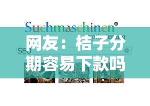 网友：桔子分期容易下款吗？求介绍几款不看负债查询的平台