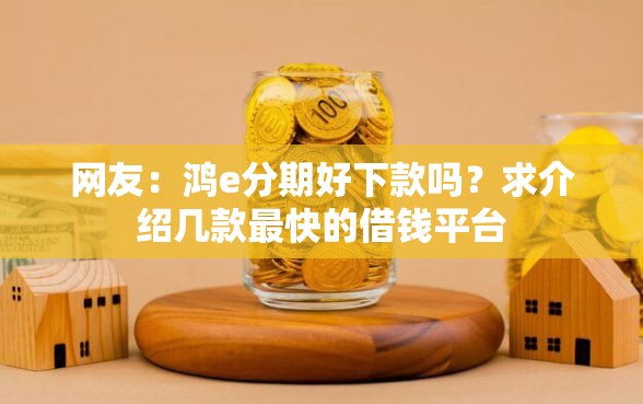 网友：鸿e分期好下款吗？求介绍几款最快的借钱平台