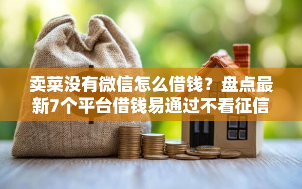 卖菜没有微信怎么借钱？盘点最新7个平台借钱易通过不看征信