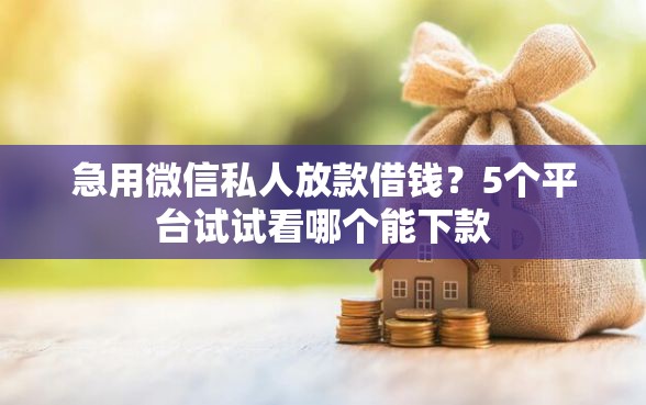 急用微信私人放款借钱?5个平台试试看哪个能下款 急用微信私人放款借钱?5个平台试试看哪个能下款