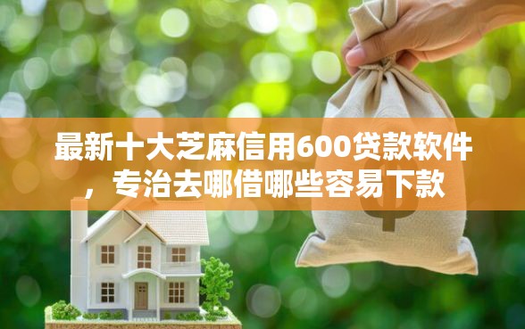 最新十大芝麻信用600贷款软件，专治去哪借哪些容易下款