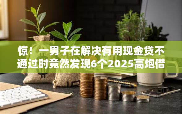 惊！一男子在解决有用现金贷不通过时竟然发现6个2025高炮借款平台黑口子链接，事后分享了出来