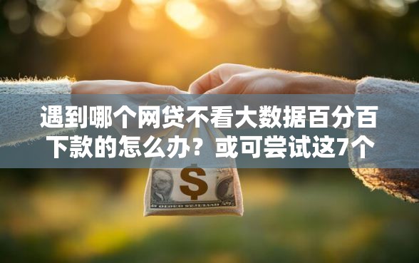 遇到哪个网贷不看大数据百分百下款的怎么办？或可尝试这7个额度高的网贷平台
