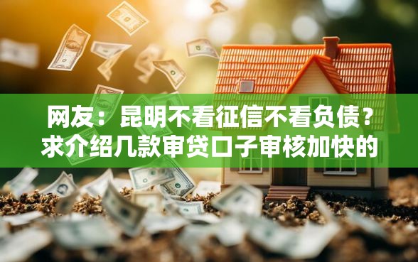 网友：昆明不看征信不看负债？求介绍几款审贷口子审核加快的平台