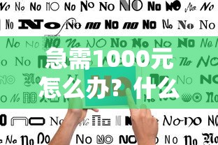 急需1000元怎么办？什么贷款靠谱还容易通过试试这5个无门槛平台