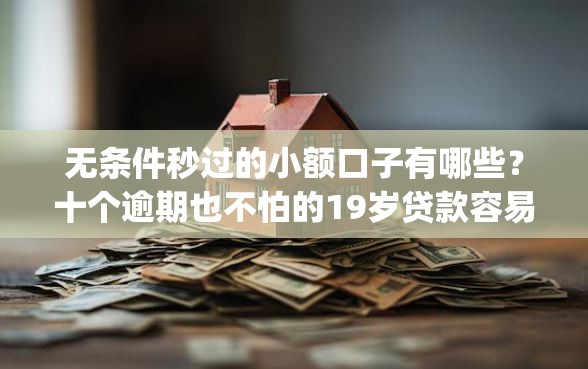 无条件秒过的小额口子有哪些?十个逾期也不怕的19岁贷款容易过审批的app 无条件秒过的小额口子有哪些?十个逾期也不怕的19岁贷款容易过审批的app