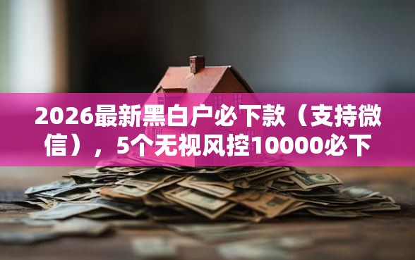 2026最新黑白户必下款（支持微信），5个无视风控10000必下口子无私分享