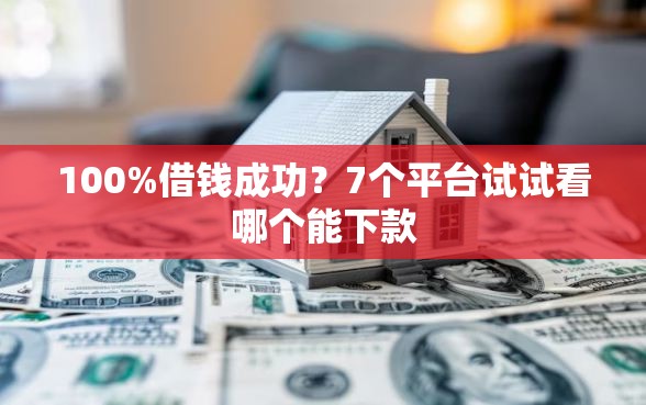 100%借钱成功？7个平台试试看哪个能下款