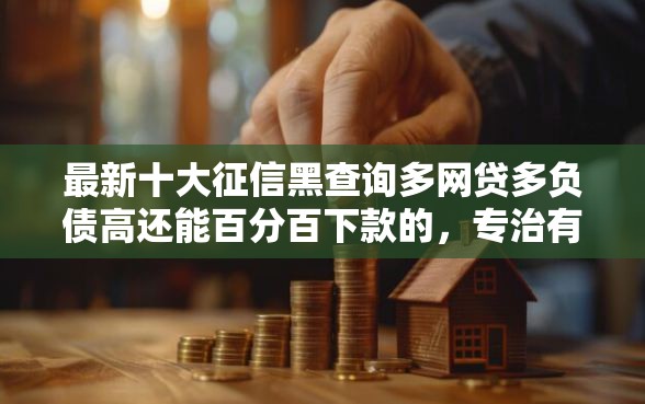 最新十大征信黑查询多网贷多负债高还能百分百下款的，专治有哪个平台好下款的