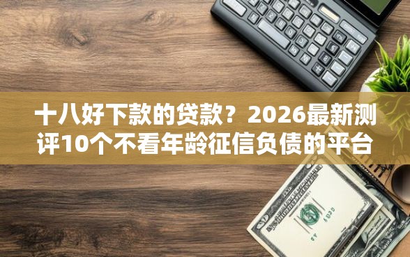 十八好下款的贷款？2026最新测评10个不看年龄征信负债的平台