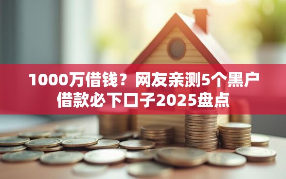 1000万借钱？网友亲测5个黑户借款必下口子2025盘点