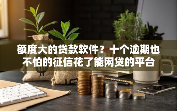 额度大的贷款软件？十个逾期也不怕的征信花了能网贷的平台