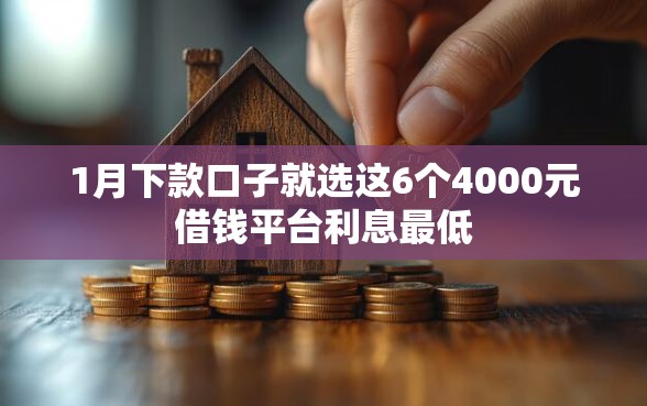 1月下款口子就选这6个4000元借钱平台利息最低