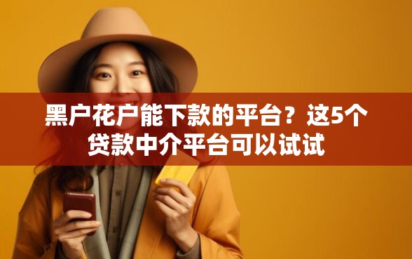 黑户花户能下款的平台？这5个贷款中介平台可以试试