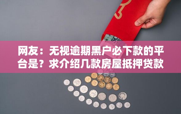 网友：无视逾期黑户必下款的平台是？求介绍几款房屋抵押贷款平台