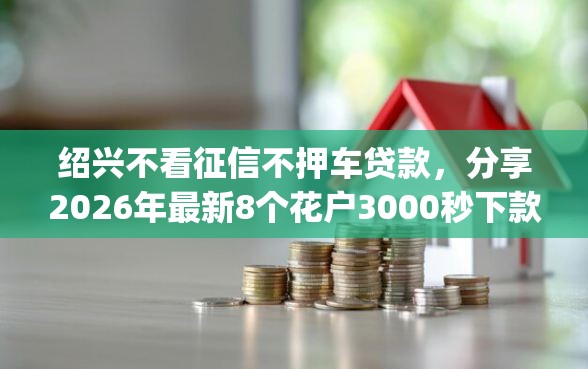 绍兴不看征信不押车贷款，分享2026年最新8个花户3000秒下款app