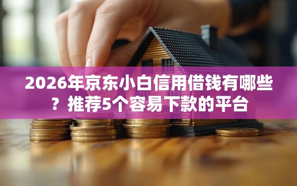 2026年京东小白信用借钱有哪些？推荐5个容易下款的平台