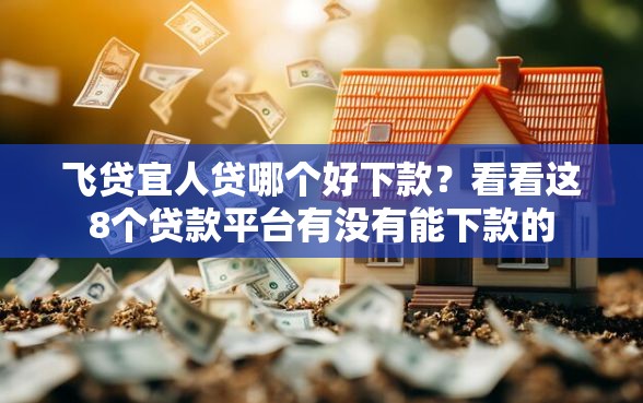 飞贷宜人贷哪个好下款？看看这8个贷款平台有没有能下款的