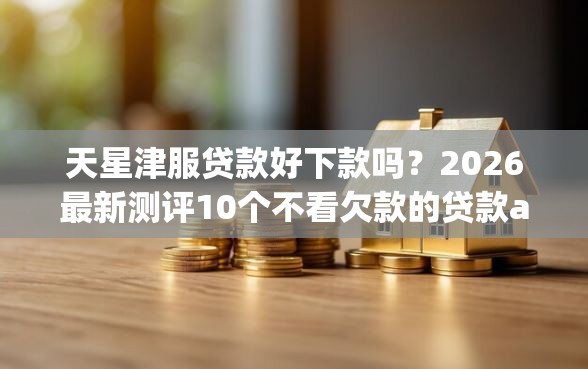 天星津服贷款好下款吗？2026最新测评10个不看欠款的贷款app