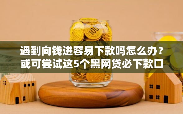 遇到向钱进容易下款吗怎么办？或可尝试这5个黑网贷必下款口子