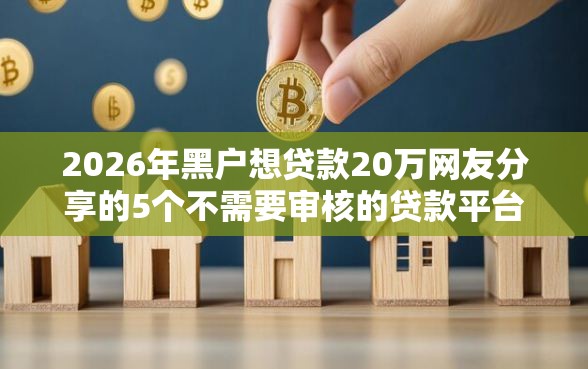 2026年黑户想贷款20万网友分享的5个不需要审核的贷款平台我觉得不错！
