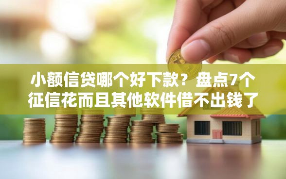 小额信贷哪个好下款？盘点7个征信花而且其他软件借不出钱了还可以借到钱100%通过的平台给你参考