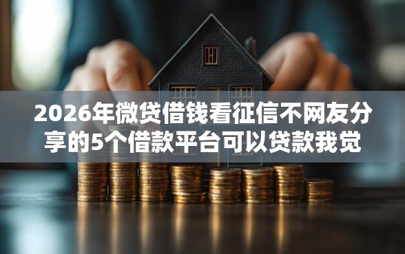 2026年微贷借钱看征信不网友分享的5个借款平台可以贷款我觉得不错！