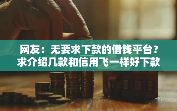 网友：无要求下款的借钱平台？求介绍几款和信用飞一样好下款的口子
