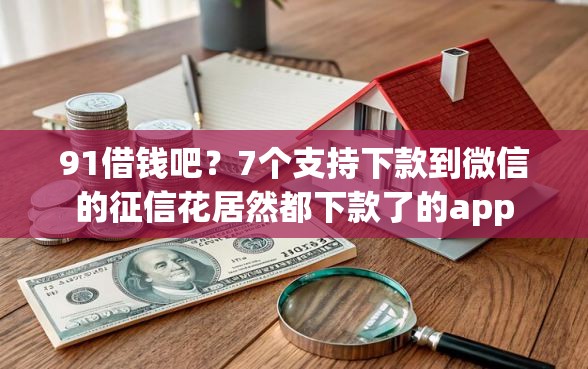 91借钱吧？7个支持下款到微信的征信花居然都下款了的app