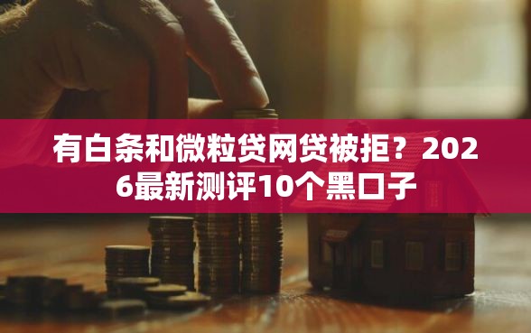 有白条和微粒贷网贷被拒？2026最新测评10个黑口子