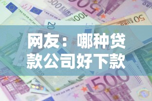网友：哪种贷款公司好下款快？求介绍几款利息低的网贷口子