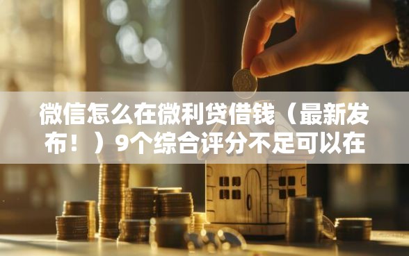 微信怎么在微利贷借钱（最新发布！）9个综合评分不足可以在平台借到钱