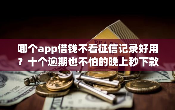 哪个app借钱不看征信记录好用？十个逾期也不怕的晚上秒下款的高炮口子