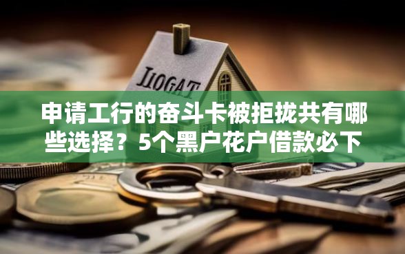 申请工行的奋斗卡被拒拢共有哪些选择？5个黑户花户借款必下口子2025详解