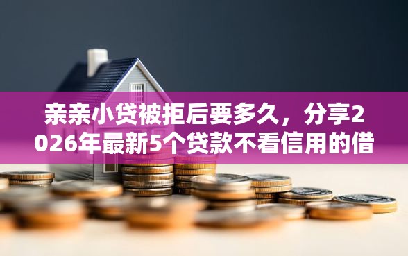 亲亲小贷被拒后要多久，分享2026年最新5个贷款不看信用的借钱软件
