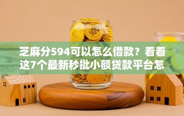 芝麻分594可以怎么借款？看看这7个最新秒批小额贷款平台怎么样