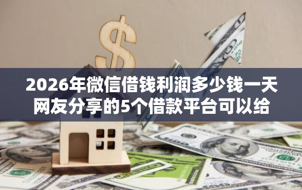 2026年微信借钱利润多少钱一天网友分享的5个借款平台可以给黑户当前有逾期的借款一万我觉得不错！