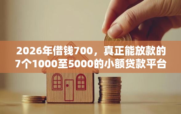2026年借钱700，真正能放款的7个1000至5000的小额贷款平台推荐