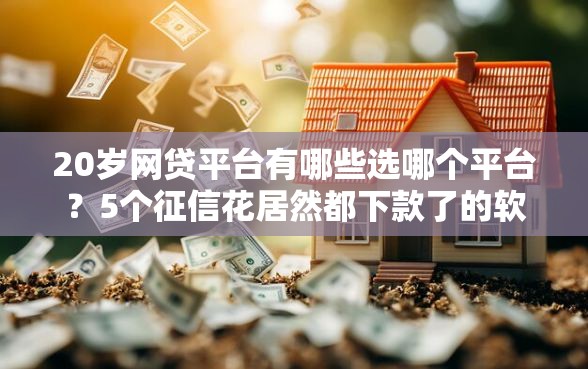 20岁网贷平台有哪些选哪个平台？5个征信花居然都下款了的软件推荐