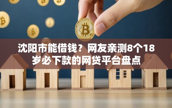 沈阳市能借钱？网友亲测8个18岁必下款的网贷平台盘点