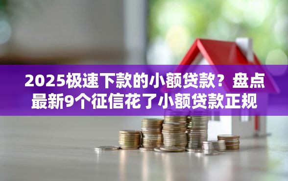 2025极速下款的小额贷款？盘点最新9个征信花了小额贷款正规平台