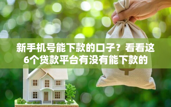 新手机号能下款的口子？看看这6个贷款平台有没有能下款的