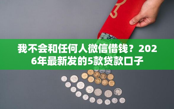 我不会和任何人微信借钱？2026年最新发的5款贷款口子