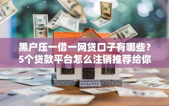 黑户压一借一网贷口子有哪些？5个贷款平台怎么注销推荐给你