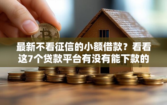 最新不看征信的小额借款？看看这7个贷款平台有没有能下款的