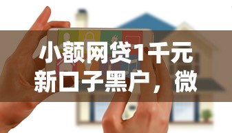 小额网贷1千元新口子黑户，微信小呗花怎么借钱安全吗的6个平台介绍