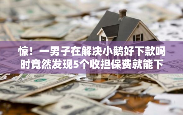 惊！一男子在解决小鹅好下款吗时竟然发现5个收担保费就能下款的口子，事后分享了出来