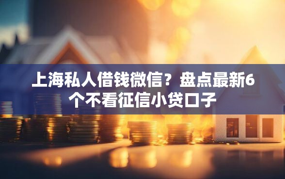 上海私人借钱微信？盘点最新6个不看征信小贷口子